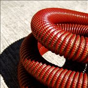 Picture Of Coiled Vacuum Cleaner Hose